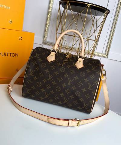 Сумка Louis Vuitton Speedy Monogram Canvas